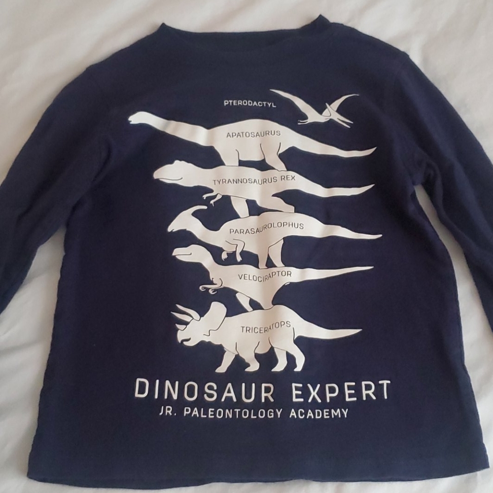 Long sleeve tee. Boy's size 4 t Carter's